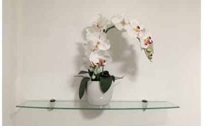glass floating shelves front view